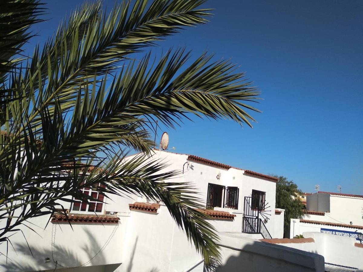 Apartamento Ama Tenerife Grande Terraza アロナ エクステリア 写真